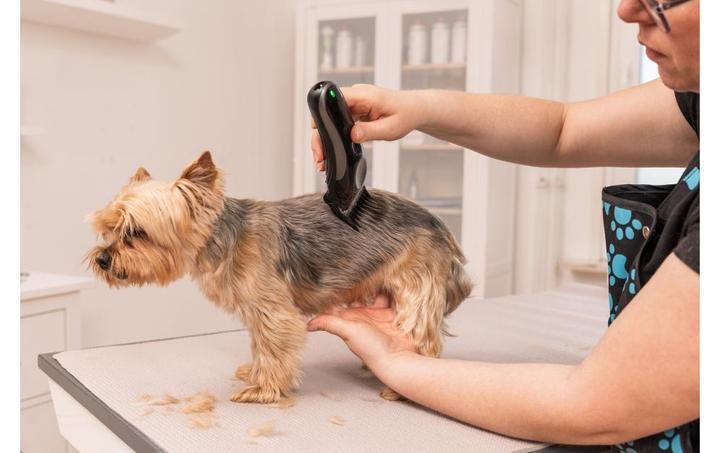 Actual product image Wahl Easy Pro+ Professional pet hair clipper 3028623 (Dog)