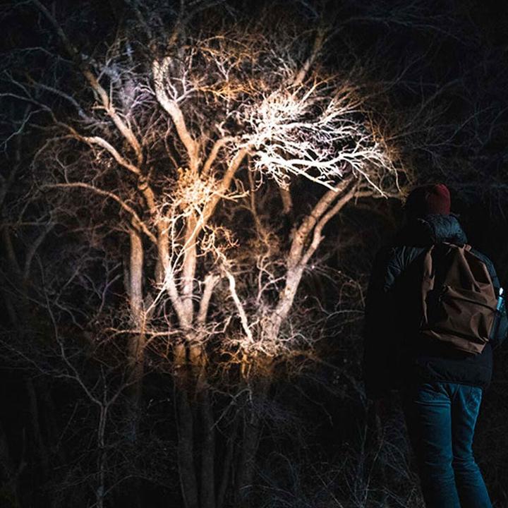 Produktbild Nebo DAVINCI 1000 (15.86 cm, 1000 lm)