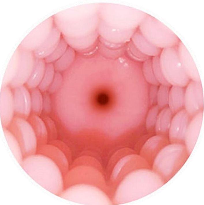 Actual product image Lovense Vagina Sleeve