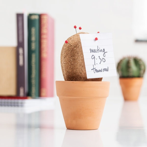 Produktbild Suck UK Cork Cactus