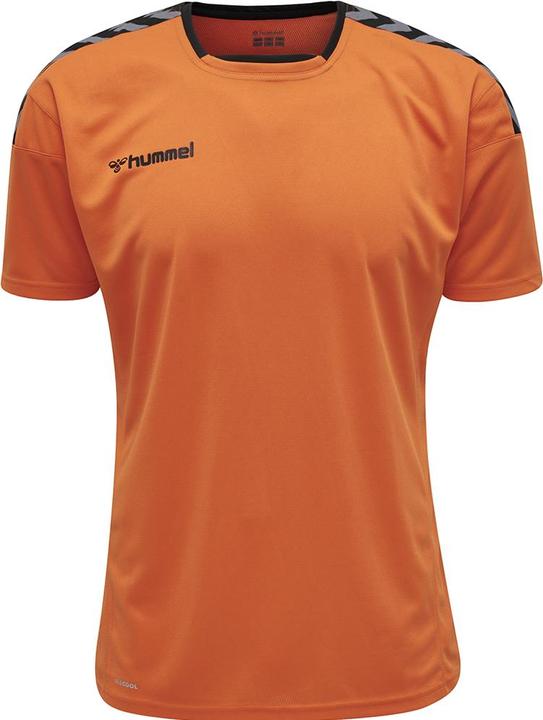 Produktbild hummel Authentic Poly Jersey S/S (S)