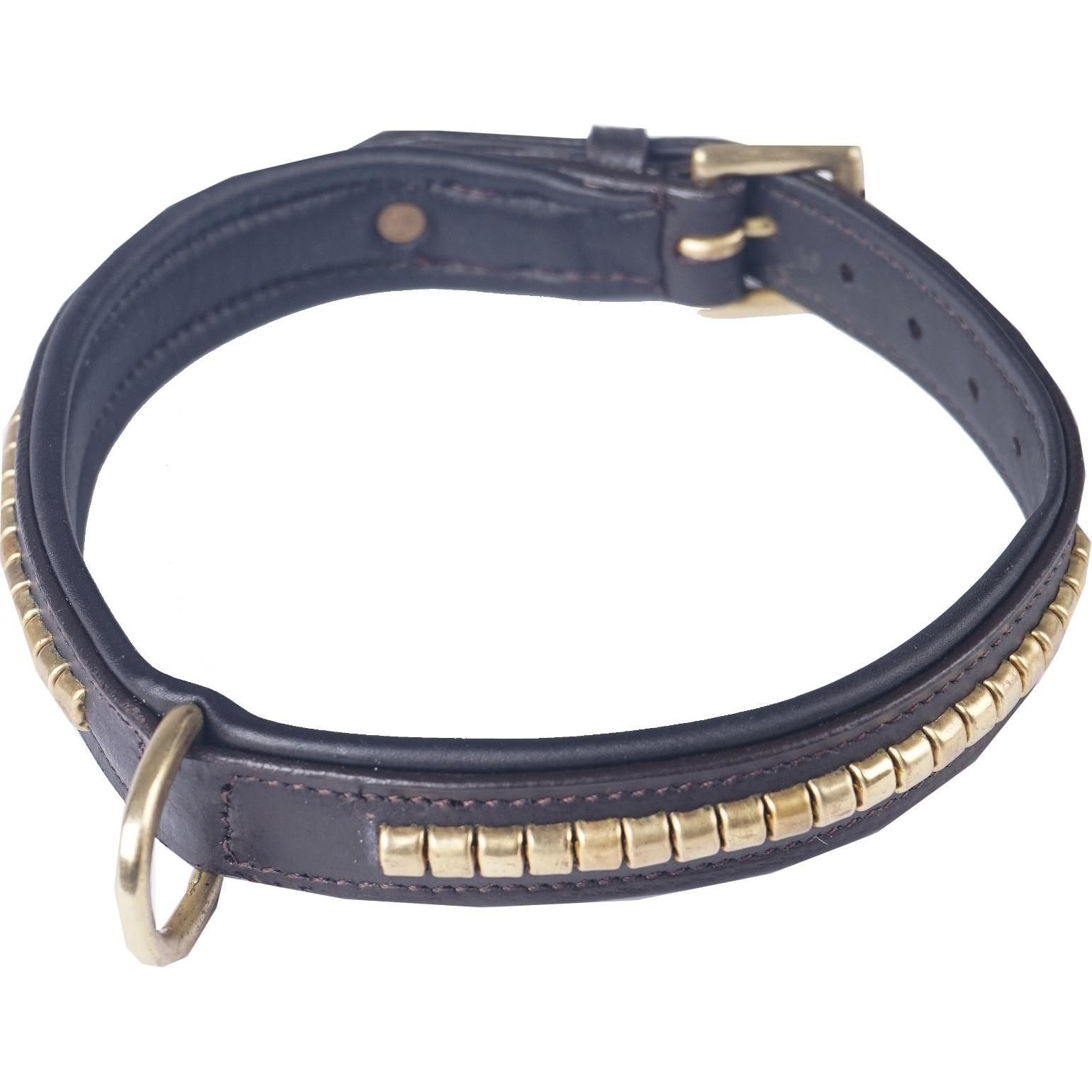Horka Vorderzeug Hund aus Clincher-Leder (50, Hund), Halsband + Leine