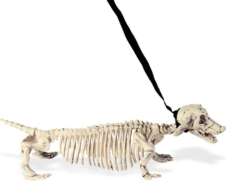 Immagine prodotto Widmann Scheletro Bassotto