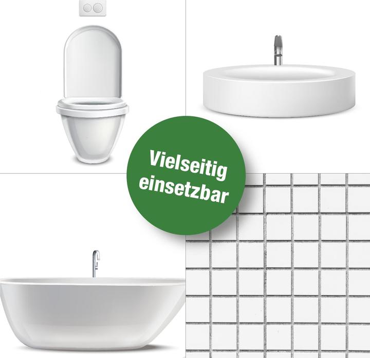 Actual product image Bio-chem Bathroom and Sanitary Cleaner Refill 1 l