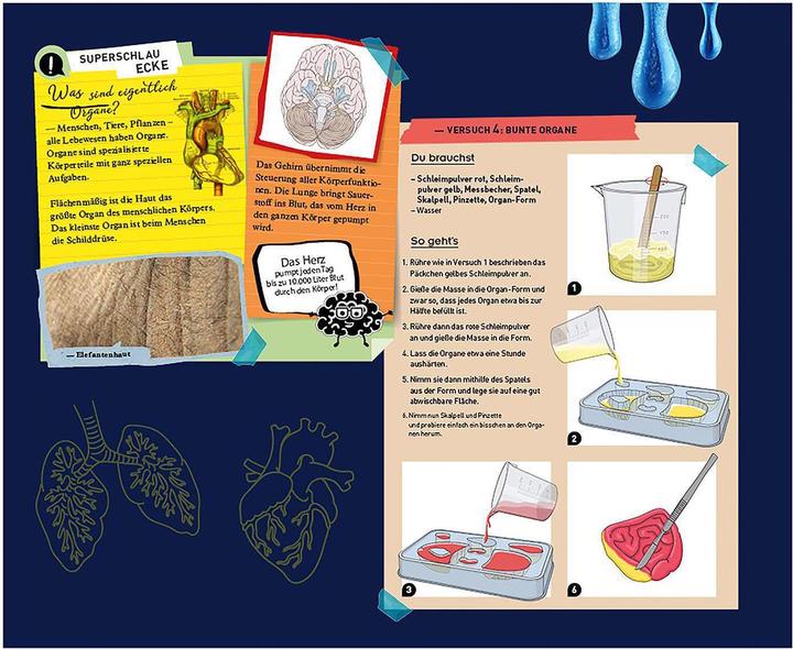 Produktbild Kosmos macht matschige Organe