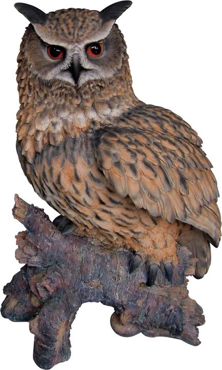Actual product image Decoration figure eagle owl