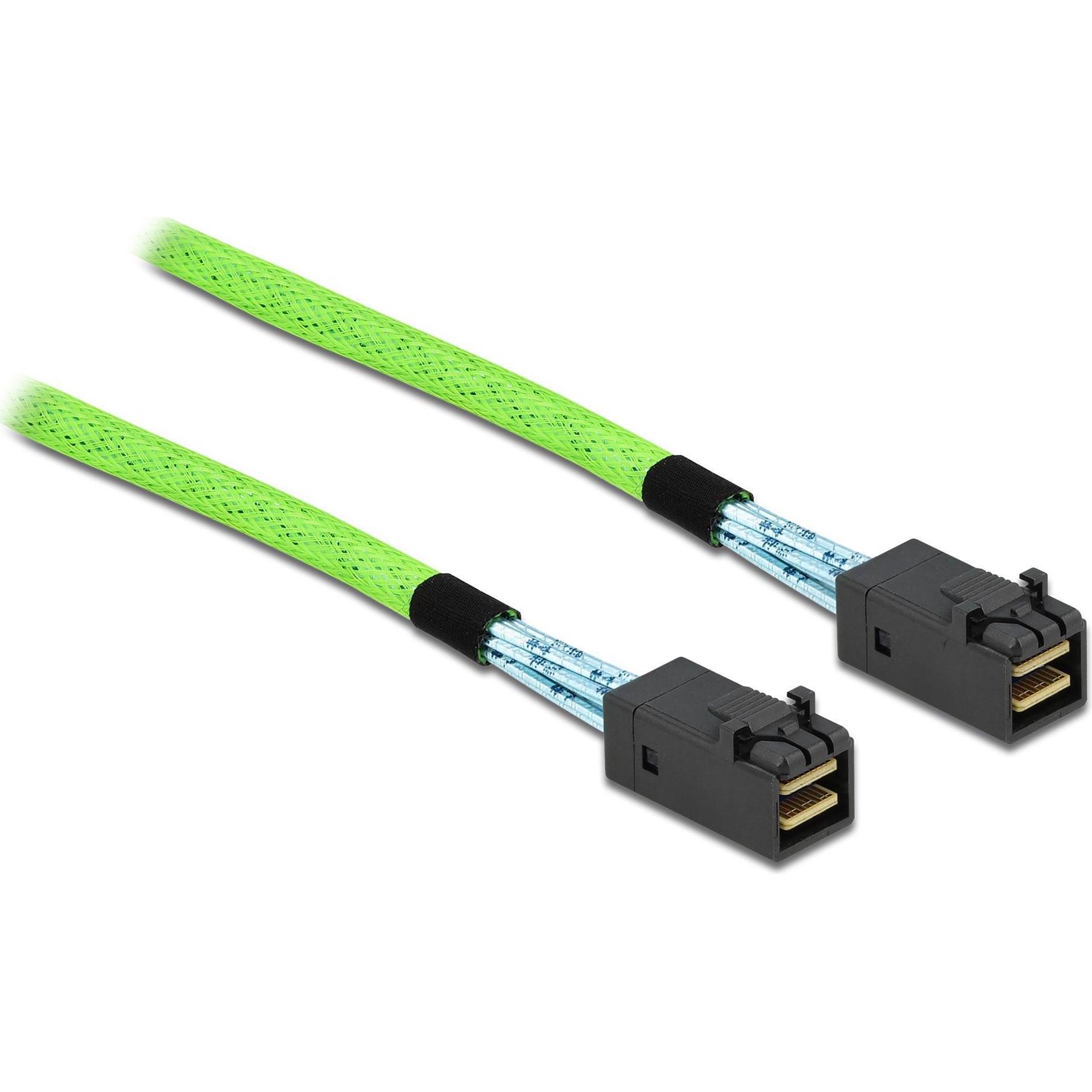 Delock SAS-Kabel SFF-8673 - SFF-8673 1 m, Interne Kabel (PC)