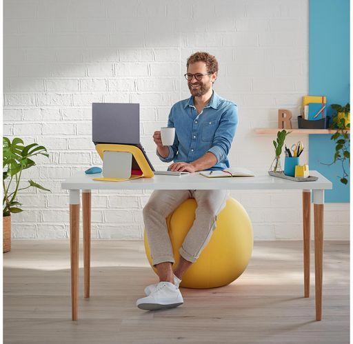 Actual product image Leitz Ergo Cosy Active sitting ball (65 cm)