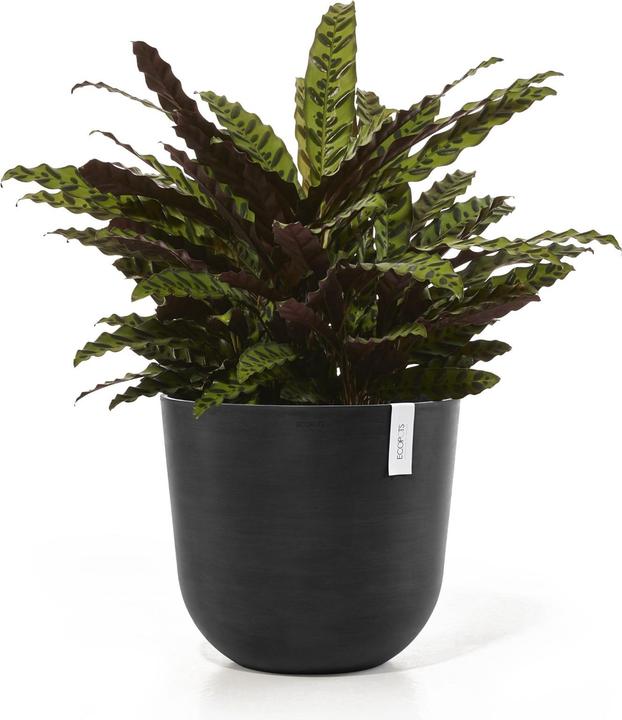 Produktbild Ecopots Oslo (45 cm)