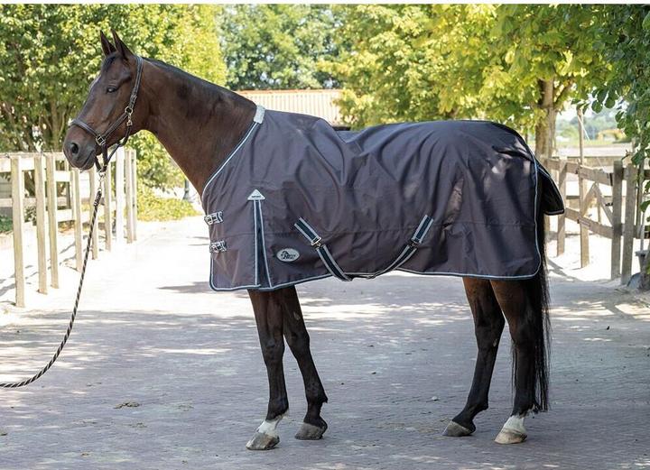 Image du produit Harry's Horse Thor (195 cm)