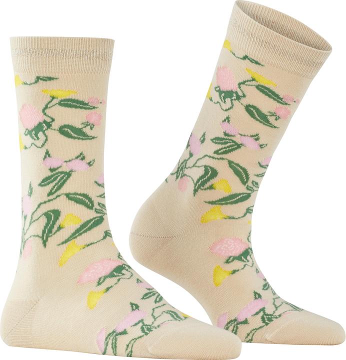 Immagine prodotto Burlington Botanical (36 - 41)