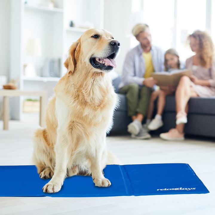 Produktbild Relaxdays Kühlmatte (Hund)