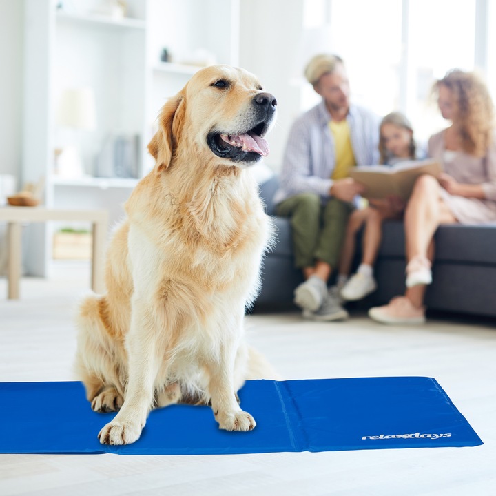 Image du produit Relaxdays Tapis de refroidissement (Chien)