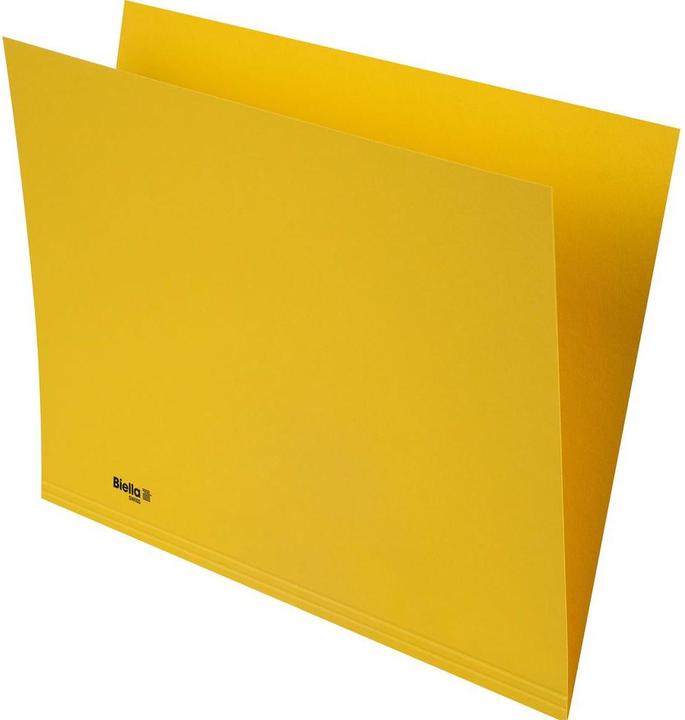 Produktbild Biella Vertikalmappe Recycolor (A4, 100x)