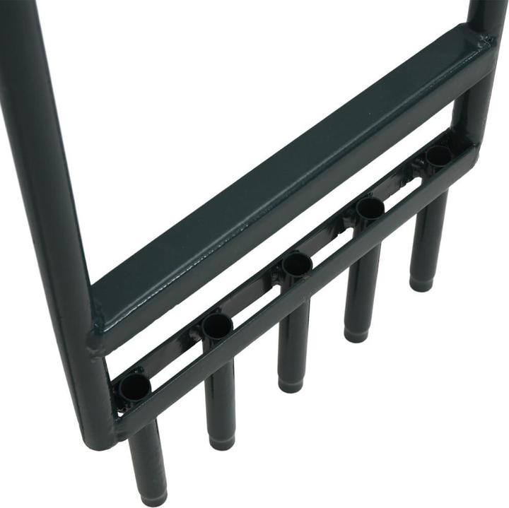 Image du produit VidaXL Aérateur de gazon avec 5 dents creuses Revêtement en poudre