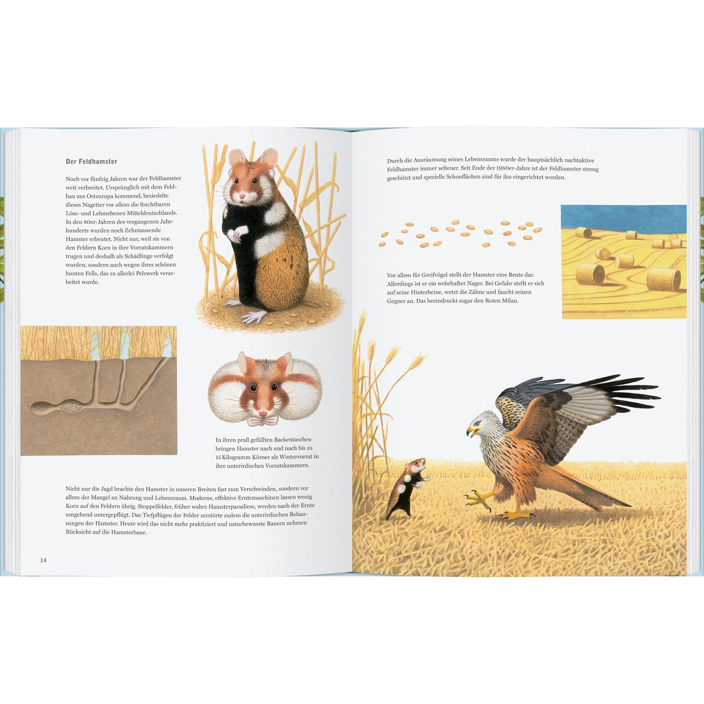 Thumbnail - Hamster, Storch und Schwalbenschwanz, Kinderbücher von Thomas Müller