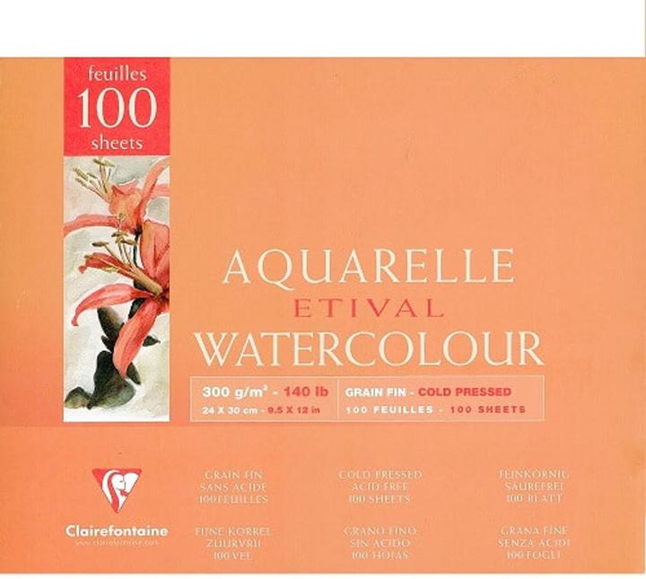 Produktbild Clairefontaine Feuchte Techniken (300 g/m², 45 x)