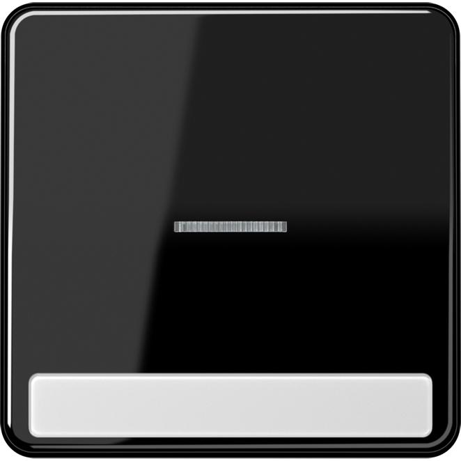JUNG, Zubehör Schalterprogramm, Kontrollwippe Schalter CD sw glz CD590NAKO5SW
