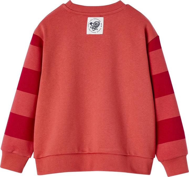 Actual product image Vertbaudet Jungen Skateboard-Sweatshirt mit Recycling-Polyester (92)