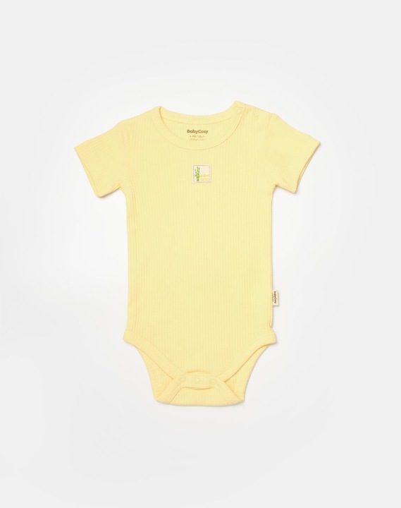 Actual product image BabyCosy 2 Pcs short sleeved Body (80)