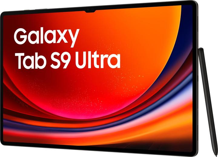 Produktbild Samsung Galaxy Tab S9 Ultra (nur WLAN, 14.60", 512 GB, Graphite Grey)