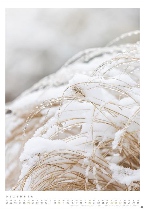 Actual product image Mareike Böhmer: pure & simple Kalender 2026 (Hardcover, German)