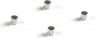 Actual product image Kaiser Fototechnik Neodymium magnets (Other Chemistry)