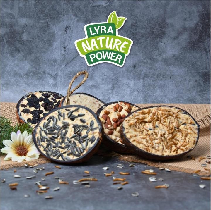 Immagine prodotto Lyra Pet Metà cocco ripieno (10 x, 0.30 kg)