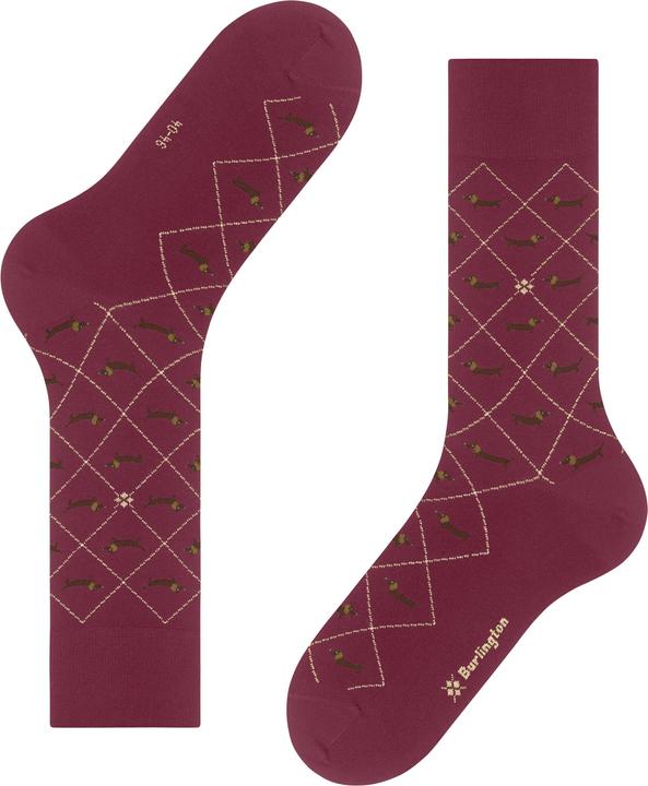 Produktbild Burlington Dachshund (Einzelpack, 40 - 46)