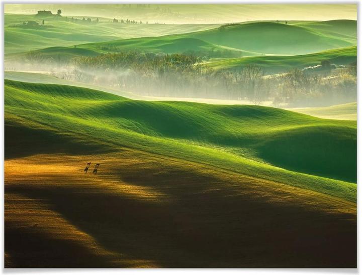 Immagine prodotto Trenddeko Browko - Prati Verdi (60 x 50 cm)