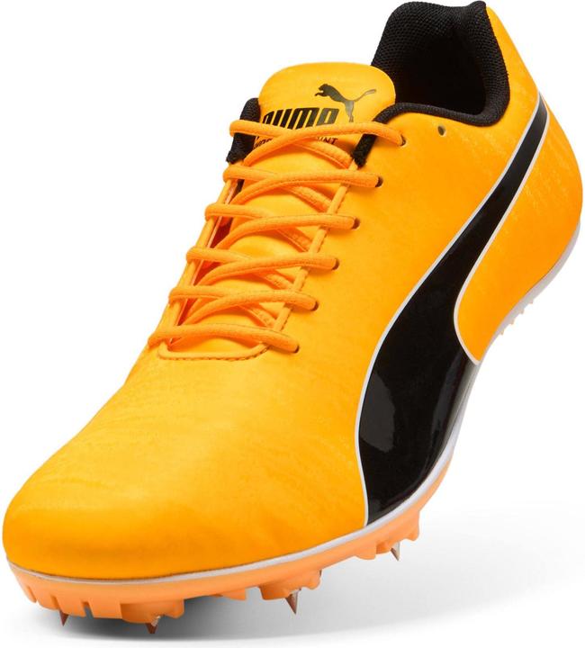 Immagine prodotto Puma evoSPEED Sprint 14.5 (44)