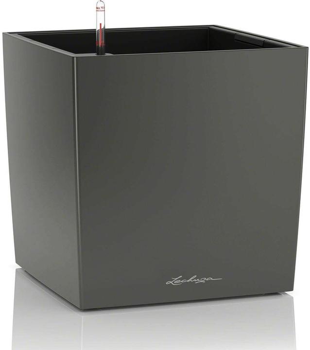 Produktbild Lechuza Cube (49 x 49 x 49.50 cm)