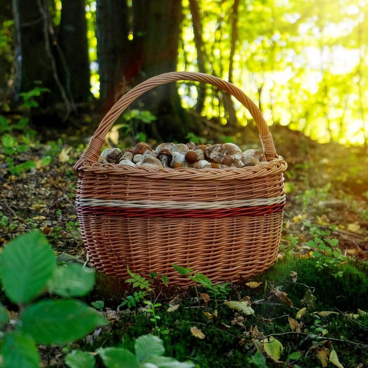 Image du produit Kadax Weidenkorb mit Henkelgriff für Pilze und Einkäufe