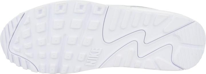 Image du produit Nike Air Max 90 (43)