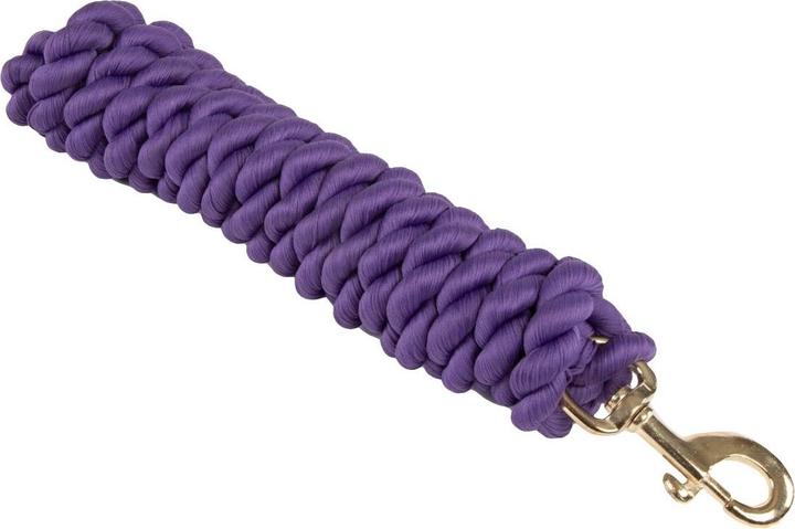 Viola
