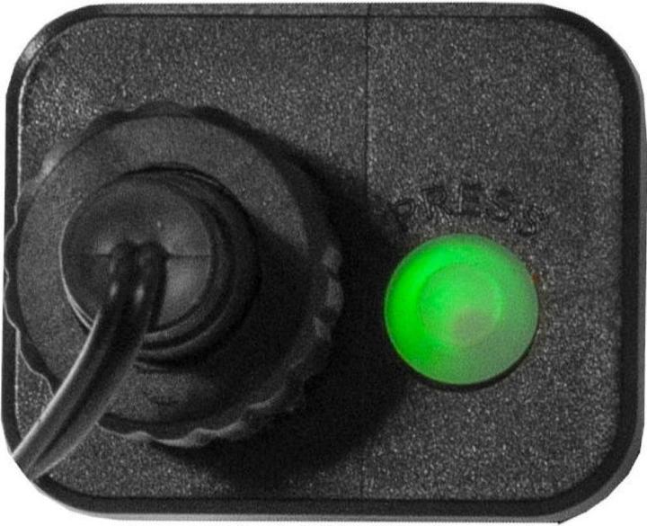 Produktbild Star Trading Berry Mini (6 m)