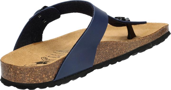 Image du produit Lico Bioline Trend (36)