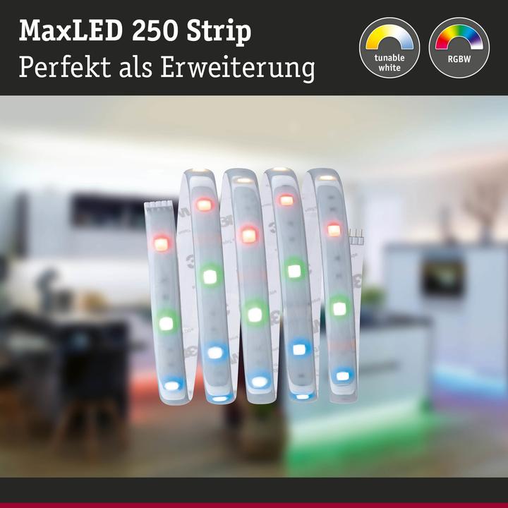 Actual product image Paulmann MaxLED 250 Stripe (Multicoloured, 100 cm, Indoor)