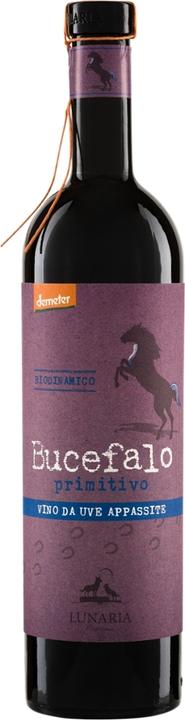 Actual product image Lunaria Orsogna Bucefalo Terre di Chieti PGI Primitivo (1 x 75 cl, 2022)