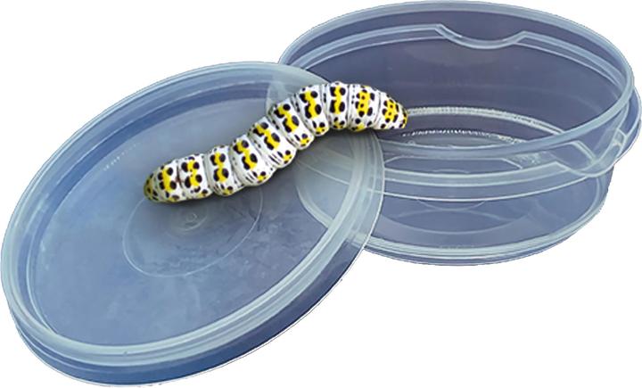 Produktbild Ses Insecten Explorer