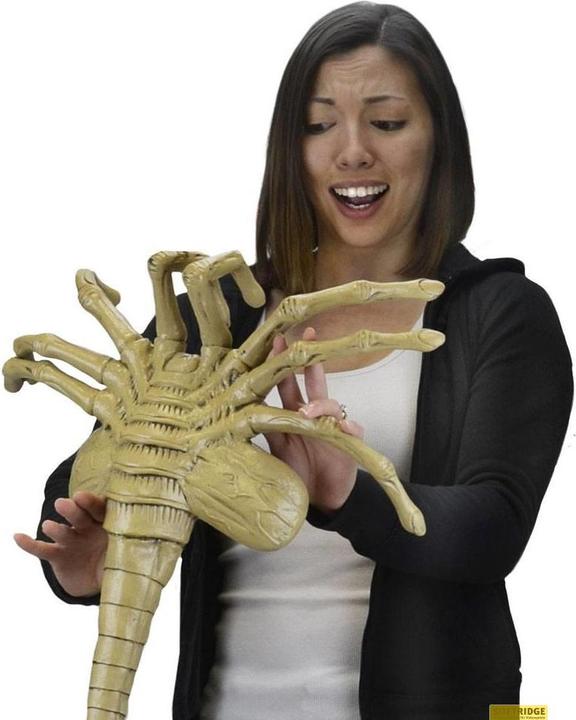 Image du produit Neca Aliens : 1/1 Facehugger