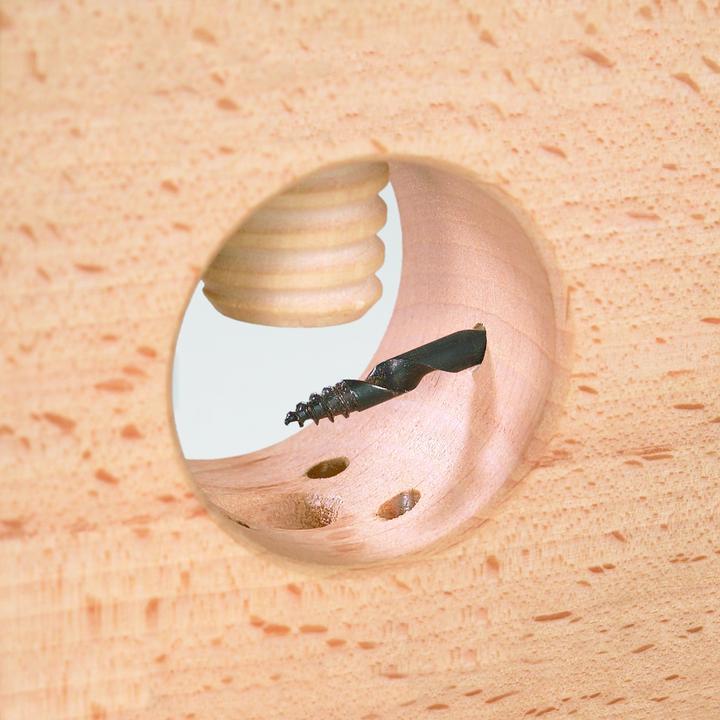 Produktbild Haba Kastanienbohrer & Nussknacker 2-in-1