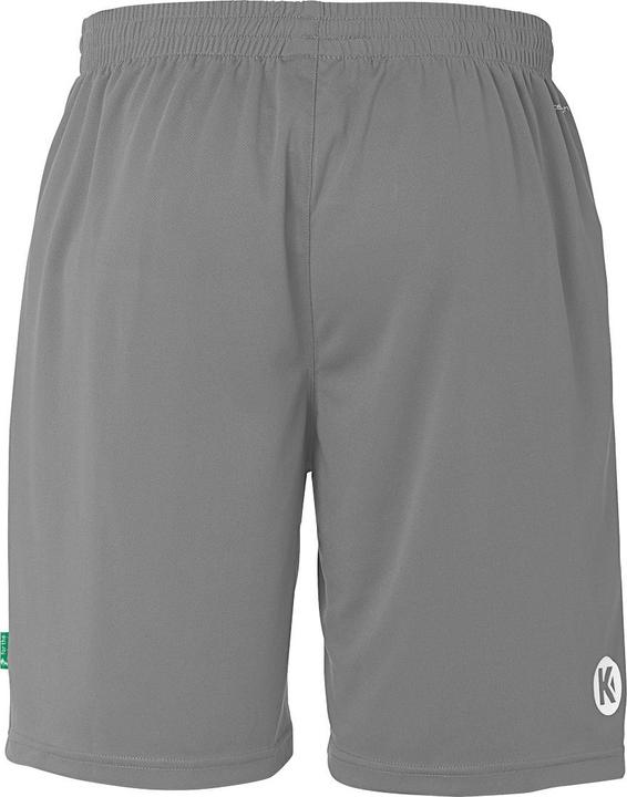 Produktbild Kempa Shorts Team (128)