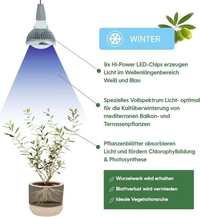 Image du produit Venso Cultiver la lumière en hiver (LED, 245 V)