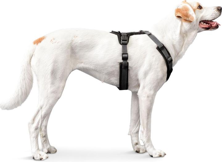 Image du produit Hunter Harnais pour chien Maldon Up (M, Chien, Général)