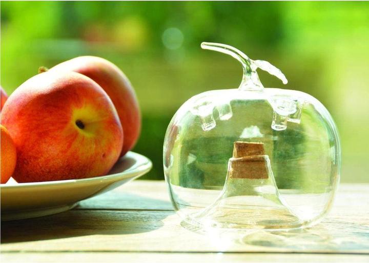 Produktbild Esschert Design Fruchtfliegenfalle Apfel