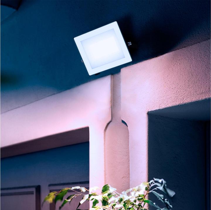 Actual product image Philips Outdoor Flutlicht Lois (2850 lm, IP65)
