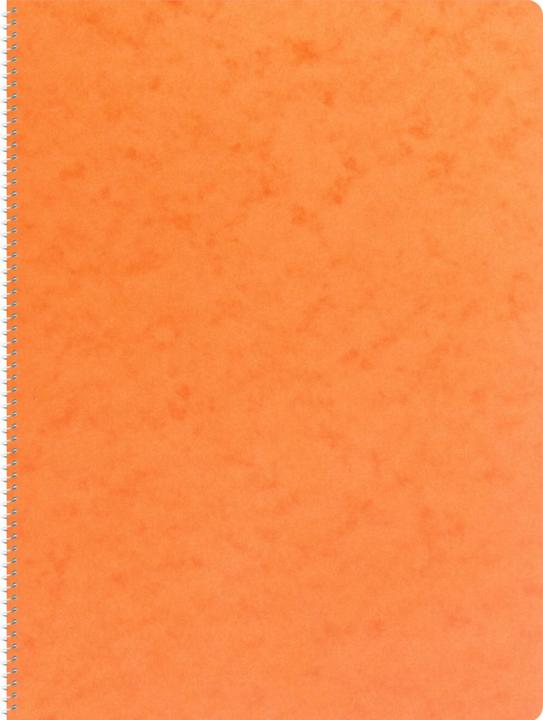 Produktbild Novooo Spiralheft assortiert (A4, Kariert, Weicher Einband)