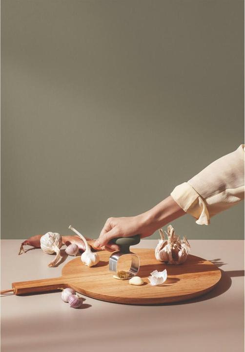 Actual product image Eva Solo Garlic Press Green Tool Silver