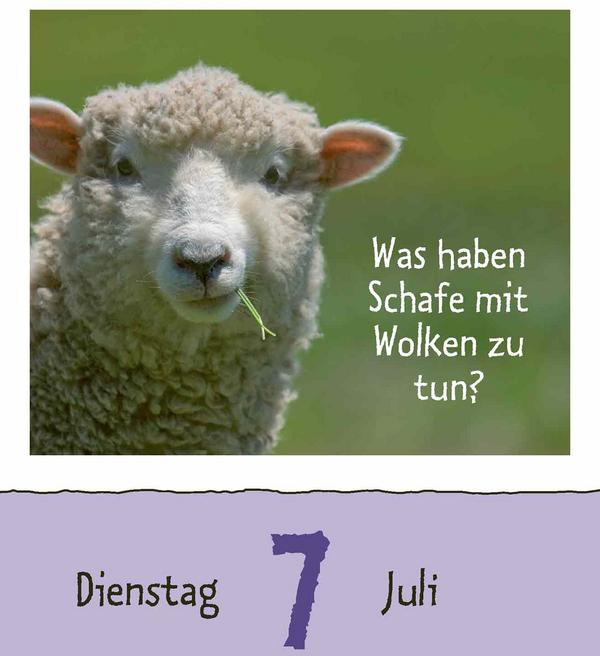 Produktbild Wie faul ist das Faultier? 2026 (12 x 16 cm)